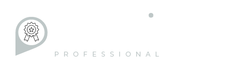 Onzigo professional logo